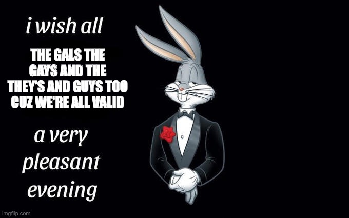 I wish all the X a very pleasant evening | THE GALS THE GAYS AND THE THEY’S AND GUYS TOO CUZ WE’RE ALL VALID | image tagged in i wish all the x a very pleasant evening | made w/ Imgflip meme maker