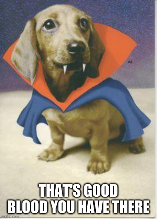 vampire dachshund | THAT'S GOOD BLOOD YOU HAVE THERE | image tagged in vampire dachshund | made w/ Imgflip meme maker