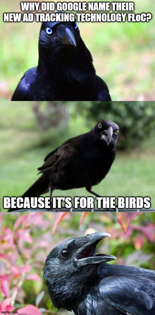 bad pun crow |  WHY DID GOOGLE NAME THEIR NEW AD TRACKING TECHNOLOGY FLoC? BECAUSE IT'S FOR THE BIRDS | image tagged in bad pun crow | made w/ Imgflip meme maker