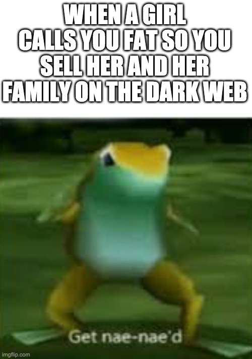 3 sold! | WHEN A GIRL CALLS YOU FAT SO YOU SELL HER AND HER FAMILY ON THE DARK WEB | image tagged in get nae nae'd,fat,yo mamas so fat,dark humor | made w/ Imgflip meme maker