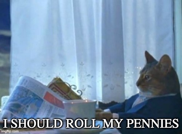 After 2020: things change, loose change | I SHOULD ROLL MY PENNIES | image tagged in memes,i should buy a boat cat,change | made w/ Imgflip meme maker