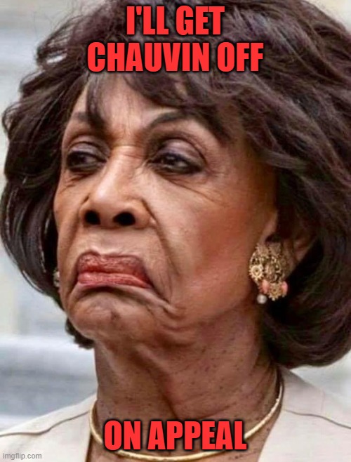 Maxine Waters | I'LL GET CHAUVIN OFF ON APPEAL | image tagged in maxine waters | made w/ Imgflip meme maker