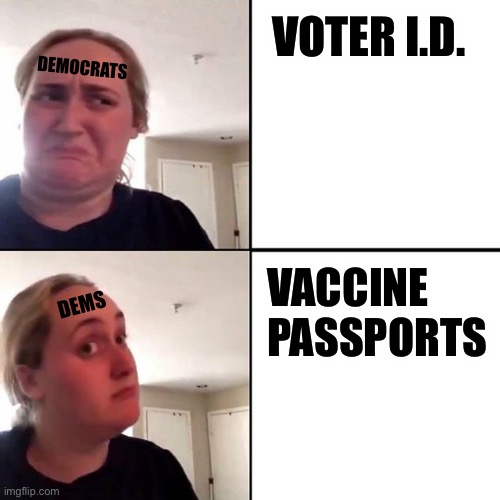 No headline necessary |  VOTER I.D. DEMOCRATS; VACCINE
PASSPORTS; DEMS | image tagged in kombucha gir,voter id,vaccine | made w/ Imgflip meme maker