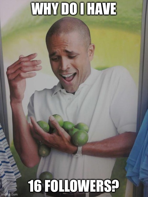 Followers limes | WHY DO I HAVE; 16 FOLLOWERS? | image tagged in memes,why can't i hold all these limes,why,followers,imgflip,imgflip users | made w/ Imgflip meme maker