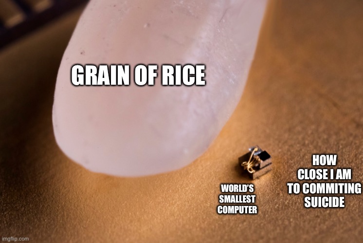 it’s so small you can’t see it | GRAIN OF RICE; HOW CLOSE I AM TO COMMITING SUICIDE; WORLD’S SMALLEST COMPUTER | image tagged in grain of rice | made w/ Imgflip meme maker