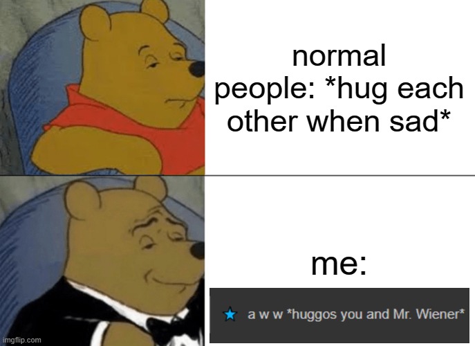 Tuxedo Winnie The Pooh | normal people: *hug each other when sad*; me: | image tagged in memes,tuxedo winnie the pooh | made w/ Imgflip meme maker