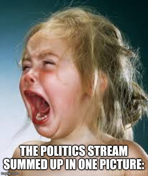 Politics stream is just crybabies | THE POLITICS STREAM SUMMED UP IN ONE PICTURE: | image tagged in crying baby | made w/ Imgflip meme maker