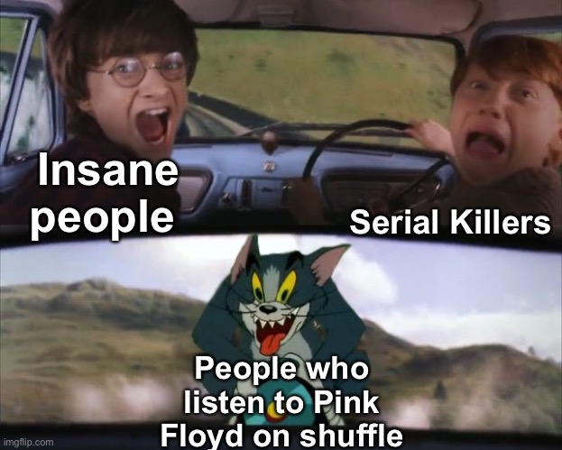 I am very afraid of these people | Serial Killers; Insane people; People who listen to Pink Floyd on shuffle | image tagged in tom chasing harry and ron weasly,memes,pink floyd | made w/ Imgflip meme maker