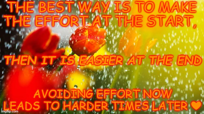 Love Is Always the Best Way Always | THE BEST WAY IS TO MAKE THE EFFORT AT THE START, AZUREMOON; THEN IT IS EASIER AT THE END; AVOIDING EFFORT NOW LEADS TO HARDER TIMES LATER ❤ | image tagged in braveheart,effort,best,love wins,happy,inspirational memes | made w/ Imgflip meme maker