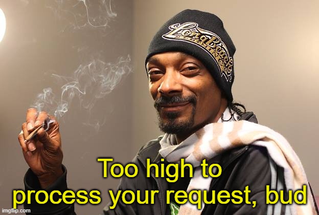 Snoop Dogg | Too high to process your request, bud | image tagged in snoop dogg | made w/ Imgflip meme maker