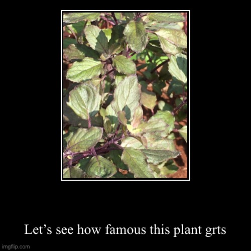 image tagged in funny,plants,nature,beautiful | made w/ Imgflip demotivational maker
