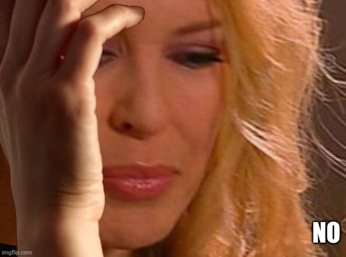 First World Problems Kylie | NO | image tagged in first world problems kylie | made w/ Imgflip meme maker