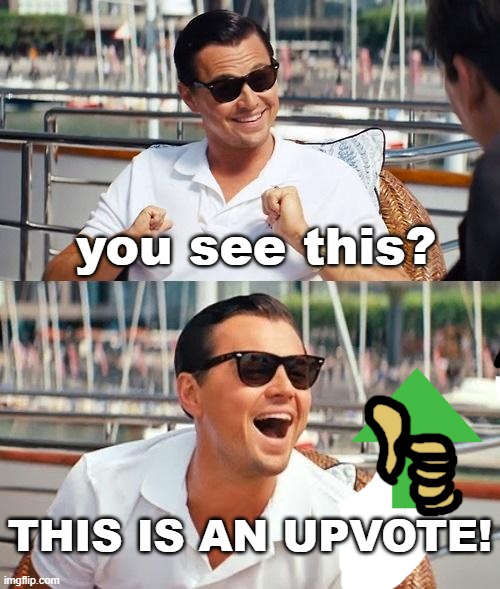 just for you | you see this? THIS IS AN UPVOTE! | image tagged in memes,leonardo dicaprio wolf of wall street | made w/ Imgflip meme maker