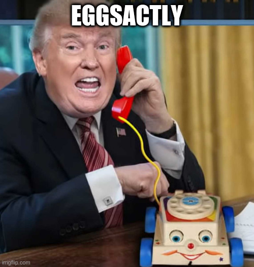 I'm the president | EGGSACTLY | image tagged in i'm the president | made w/ Imgflip meme maker