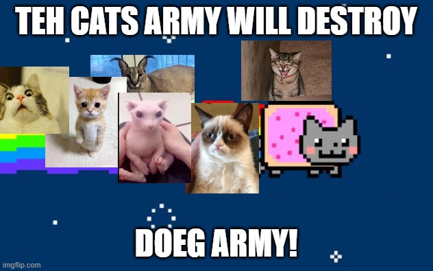no doges allowed | TEH CATS ARMY WILL DESTROY; DOEG ARMY! | image tagged in nyan cat,cat memes | made w/ Imgflip meme maker