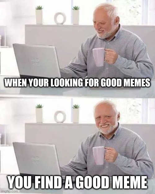 Hide the Pain Harold | WHEN YOUR LOOKING FOR GOOD MEMES; YOU FIND A GOOD MEME | image tagged in memes,hide the pain harold | made w/ Imgflip meme maker