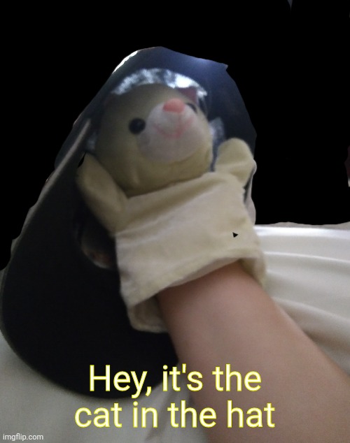 Yes | Hey, it's the cat in the hat | image tagged in no | made w/ Imgflip meme maker