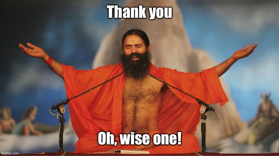 Indian Guru | Thank you Oh, wise one! | image tagged in indian guru | made w/ Imgflip meme maker