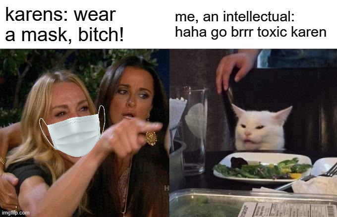 karens need to be a lot less toxic | karens: wear a mask, bitch! me, an intellectual: haha go brrr toxic karen | image tagged in memes,woman yelling at cat | made w/ Imgflip meme maker