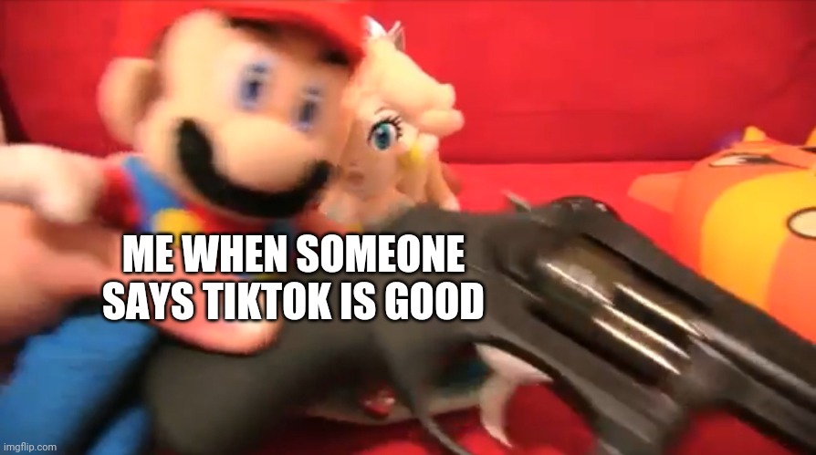 Hmm....No|feel free to have your own opinions, but NO | ME WHEN SOMEONE SAYS TIKTOK IS GOOD | image tagged in mario wtf sml | made w/ Imgflip meme maker
