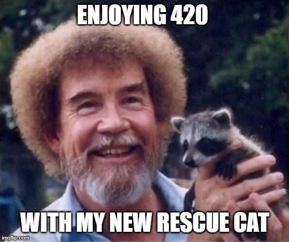 ENJOYING 420; WITH MY NEW RESCUE CAT | image tagged in bob ross,bob ross racoon,racoon | made w/ Imgflip meme maker