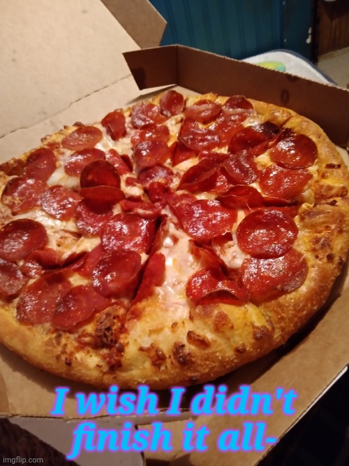 Idk | I wish I didn't finish it all- | image tagged in potatorabbit's pizza | made w/ Imgflip meme maker