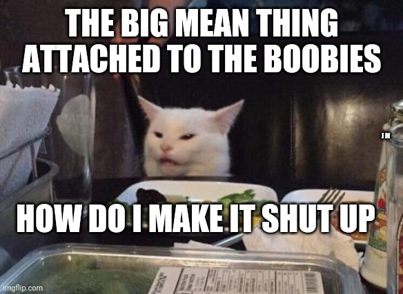 Salad cat | THE BIG MEAN THING ATTACHED TO THE BOOBIES; J M; HOW DO I MAKE IT SHUT UP | image tagged in salad cat | made w/ Imgflip meme maker