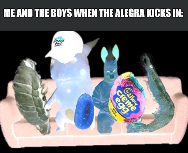 Alegra go brrr | ME AND THE BOYS WHEN THE ALEGRA KICKS IN: | image tagged in me and the boys | made w/ Imgflip meme maker