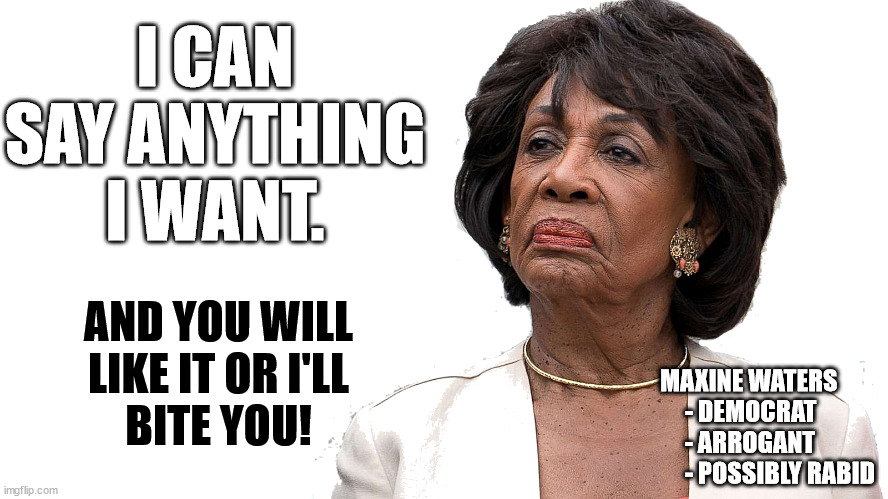 Maxine Waters - Incites Violence and probably was responsible for tipping your garbage can over last night. | I CAN SAY ANYTHING
I WANT. AND YOU WILL
LIKE IT OR I'LL
BITE YOU! MAXINE WATERS
     - DEMOCRAT
     - ARROGANT
     - POSSIBLY RABID | image tagged in arrogant maxine waters,racist,antisemitism,black,blm,democrat | made w/ Imgflip meme maker