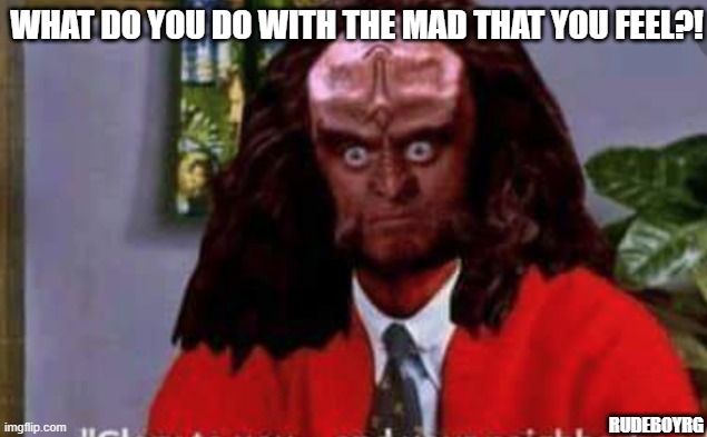 Klingon Rogers | WHAT DO YOU DO WITH THE MAD THAT YOU FEEL?! RUDEBOYRG | image tagged in klingon,mr rogers,klingon rogers,what do you do with the mad that you feel | made w/ Imgflip meme maker