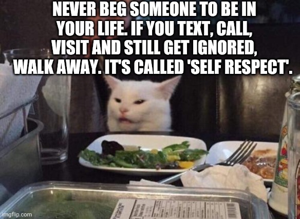Salad cat | NEVER BEG SOMEONE TO BE IN YOUR LIFE. IF YOU TEXT, CALL, VISIT AND STILL GET IGNORED, WALK AWAY. IT'S CALLED 'SELF RESPECT'. | image tagged in salad cat | made w/ Imgflip meme maker