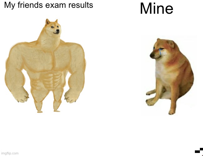 Buff Doge vs. Cheems Meme | My friends exam results; Mine | image tagged in memes,buff doge vs cheems | made w/ Imgflip meme maker