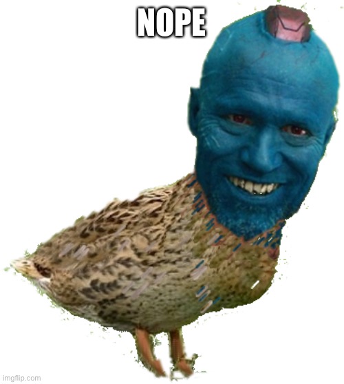 onduyay duckers ranstay | NOPE | image tagged in onduyay duckers ranstay | made w/ Imgflip meme maker