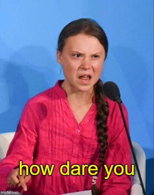 Greta Thunberg how dare you | how dare you | image tagged in greta thunberg how dare you | made w/ Imgflip meme maker