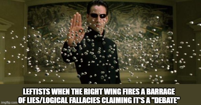 Neo bullet stop | LEFTISTS WHEN THE RIGHT WING FIRES A BARRAGE OF LIES/LOGICAL FALLACIES CLAIMING IT'S A "DEBATE" | image tagged in neo bullet stop | made w/ Imgflip meme maker