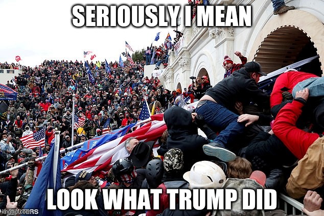 Capitol | SERIOUSLY I MEAN LOOK WHAT TRUMP DID | image tagged in capitol | made w/ Imgflip meme maker