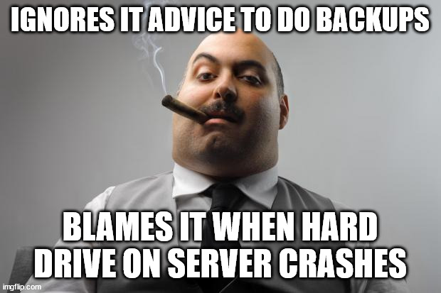 Scumbag Boss Meme | IGNORES IT ADVICE TO DO BACKUPS; BLAMES IT WHEN HARD DRIVE ON SERVER CRASHES | image tagged in memes,scumbag boss | made w/ Imgflip meme maker