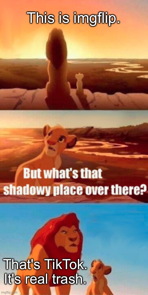 Simba Shadowy Place | This is imgflip. That's TikTok. It's real trash. | image tagged in memes,simba shadowy place | made w/ Imgflip meme maker