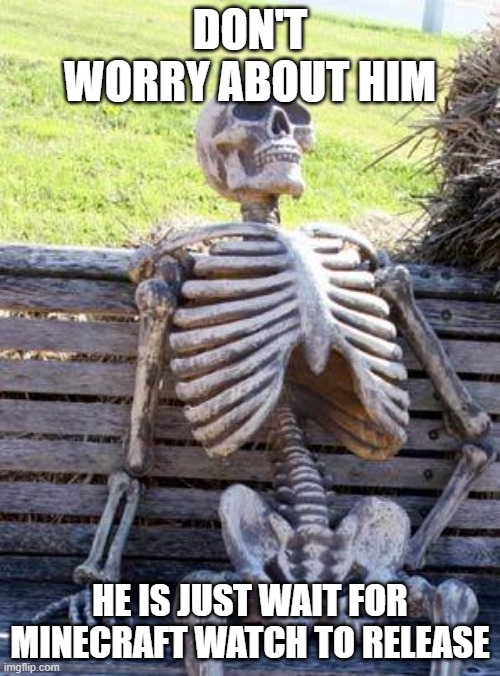 It's been so long to wait. | DON'T WORRY ABOUT HIM; HE IS JUST WAIT FOR MINECRAFT WATCH TO RELEASE | image tagged in waiting skeleton,meme | made w/ Imgflip meme maker