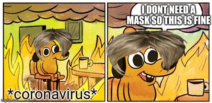 This Is Fine | I DONT NEED A MASK SO THIS IS FINE; *coronavirus* | image tagged in memes,this is fine | made w/ Imgflip meme maker
