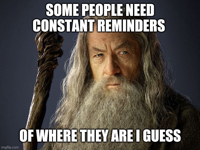 Are you serious? Gandalf | SOME PEOPLE NEED CONSTANT REMINDERS OF WHERE THEY ARE I GUESS | image tagged in are you serious gandalf | made w/ Imgflip meme maker