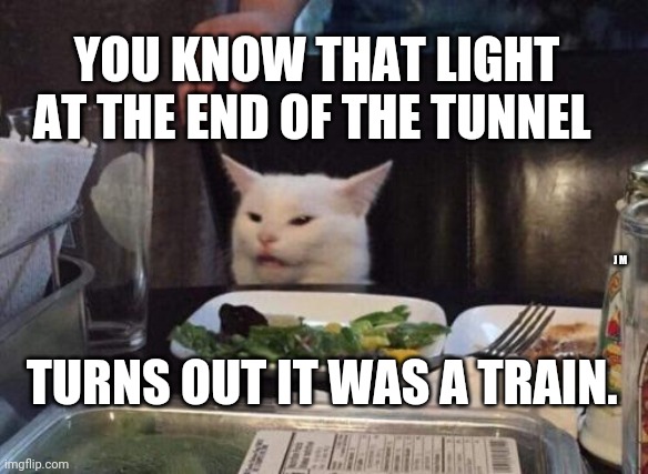 Salad cat | YOU KNOW THAT LIGHT AT THE END OF THE TUNNEL; J M; TURNS OUT IT WAS A TRAIN. | image tagged in salad cat | made w/ Imgflip meme maker