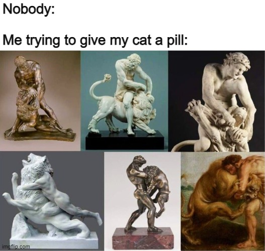 Pill skills | Nobody:
 
Me trying to give my cat a pill: | image tagged in cat,pill,meme | made w/ Imgflip meme maker