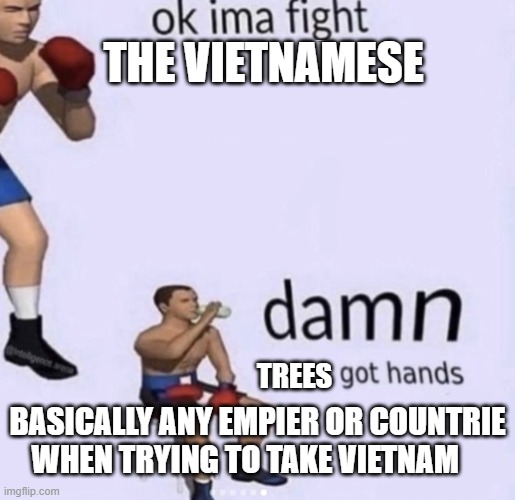 Bruh | THE VIETNAMESE; TREES; BASICALLY ANY EMPIER OR COUNTRIE WHEN TRYING TO TAKE VIETNAM | image tagged in damn got hands,meme | made w/ Imgflip meme maker