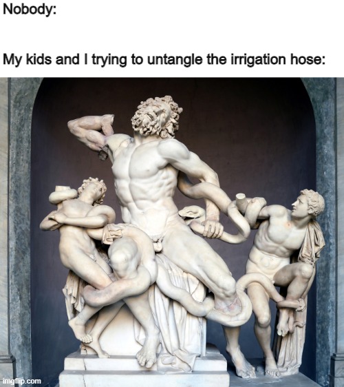 Garden problems | Nobody:
 
 
My kids and I trying to untangle the irrigation hose: | image tagged in meme,garden,father and son | made w/ Imgflip meme maker