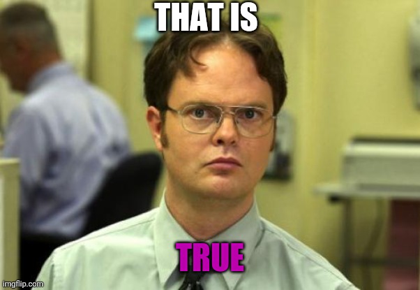 Dwight Schrute Meme | THAT IS TRUE | image tagged in memes,dwight schrute | made w/ Imgflip meme maker