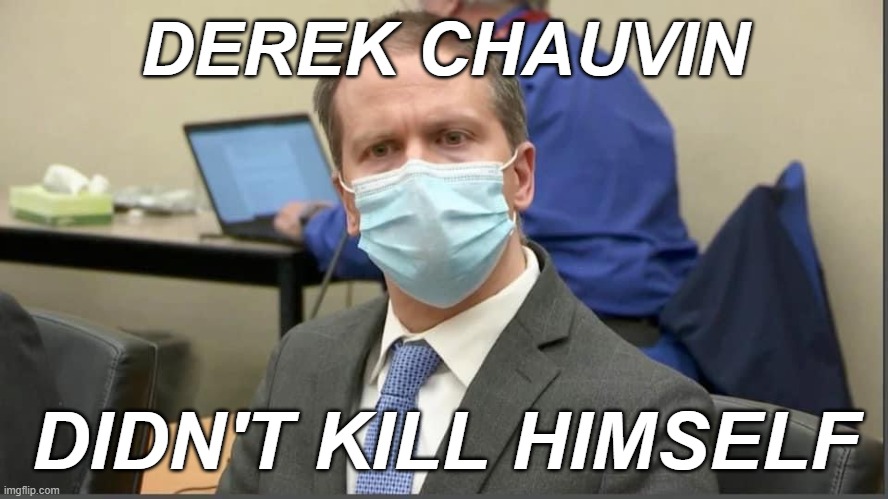 Derek Chauvin Guilty | DEREK CHAUVIN; DIDN'T KILL HIMSELF | image tagged in derek chauvin guilty,innocent | made w/ Imgflip meme maker