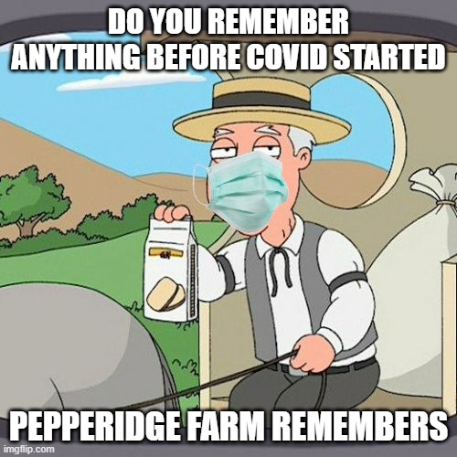 i dont get this but... ok! my friend made this | DO YOU REMEMBER ANYTHING BEFORE COVID STARTED; PEPPERIDGE FARM REMEMBERS | image tagged in memes,pepperidge farm remembers | made w/ Imgflip meme maker