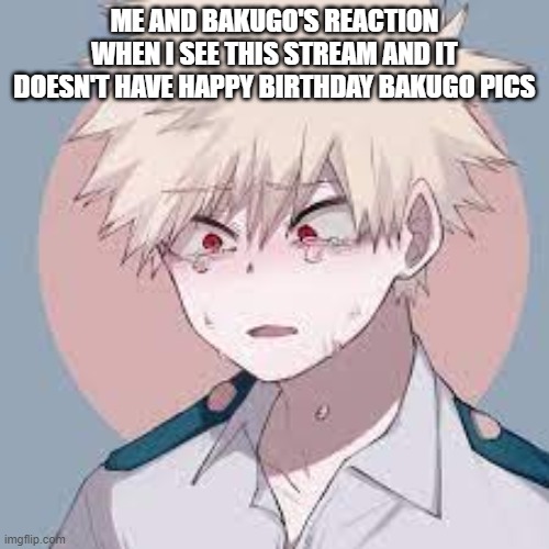 WHY WHY?! I expected better from y'all |  ME AND BAKUGO'S REACTION WHEN I SEE THIS STREAM AND IT DOESN'T HAVE HAPPY BIRTHDAY BAKUGO PICS | made w/ Imgflip meme maker