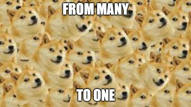 All for one | FROM MANY; TO ONE | image tagged in dogecoin,doge,dogearmy | made w/ Imgflip meme maker